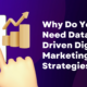 Why Do You Need Data-Driven Digital Marketing Strategies?