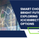 Smart Choices, Bright Future: Exploring ICICIdirect IPO Options