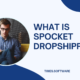 What is Spocket Dropshipping?