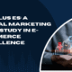 zooplus ES: A Digital Marketing Case Study in E-Commerce Excellence
