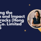 Exploring the Growth and Impact of Rentracks (Hong Kong) Co. Limited in 2025