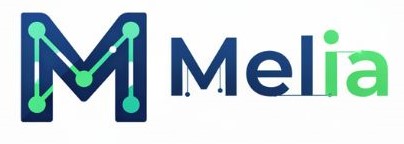 Melia Hotels International - PARADISUS (US)